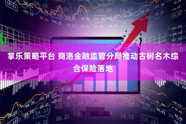 掌乐策略平台 商洛金融监管分局推动古树名木综合保险落地