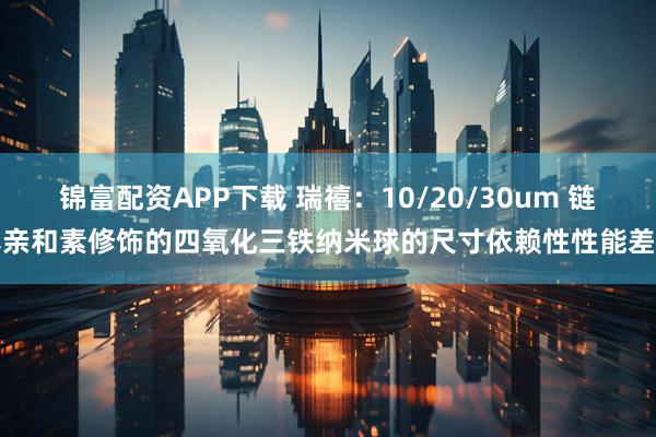 锦富配资APP下载 瑞禧：10/20/30um 链霉亲和素修饰的四氧化三铁纳米球的尺寸依赖性性能差异