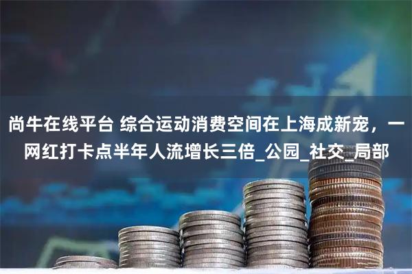 尚牛在线平台 综合运动消费空间在上海成新宠，一网红打卡点半年人流增长三倍_公园_社交_局部