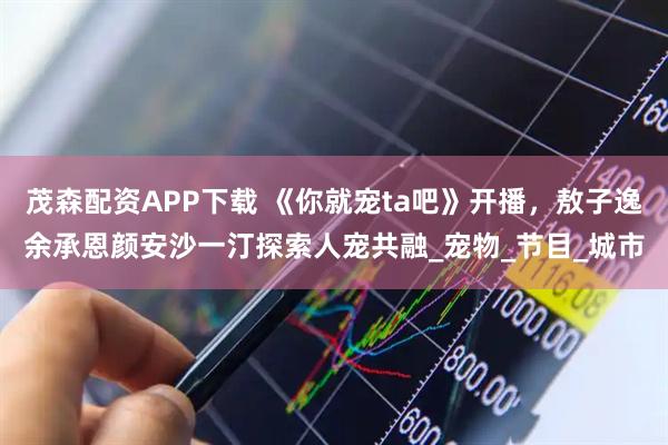 茂森配资APP下载 《你就宠ta吧》开播，敖子逸余承恩颜安沙一汀探索人宠共融_宠物_节目_城市