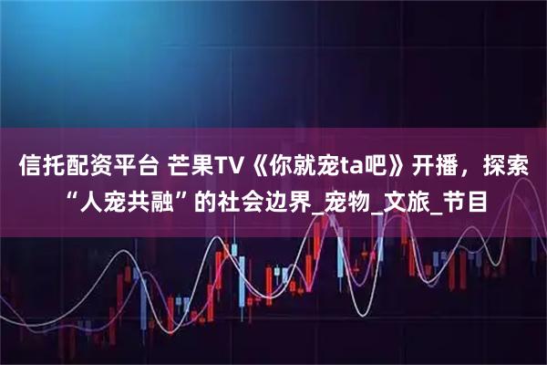 信托配资平台 芒果TV《你就宠ta吧》开播，探索“人宠共融”的社会边界_宠物_文旅_节目