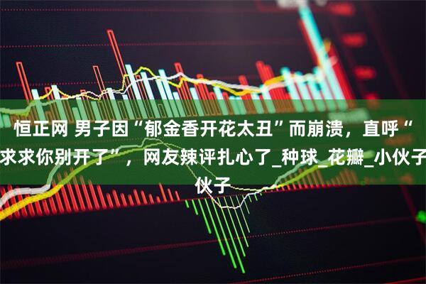 恒正网 男子因“郁金香开花太丑”而崩溃，直呼“求求你别开了”，网友辣评扎心了_种球_花瓣_小伙子