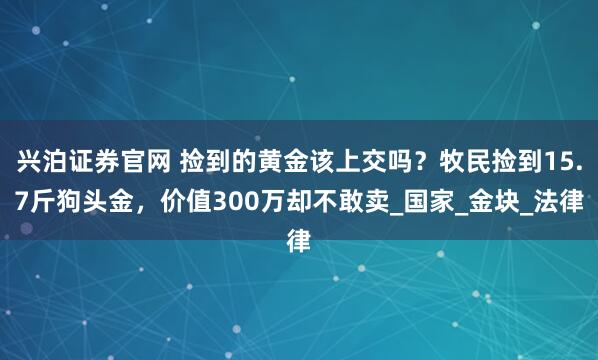 兴泊证券官网 捡到的黄金该上交吗？牧民捡到15.7斤狗头金，价值300万却不敢卖_国家_金块_法律
