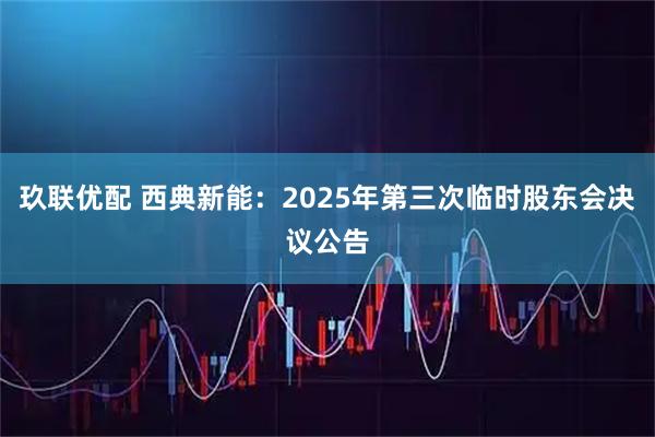 玖联优配 西典新能：2025年第三次临时股东会决议公告